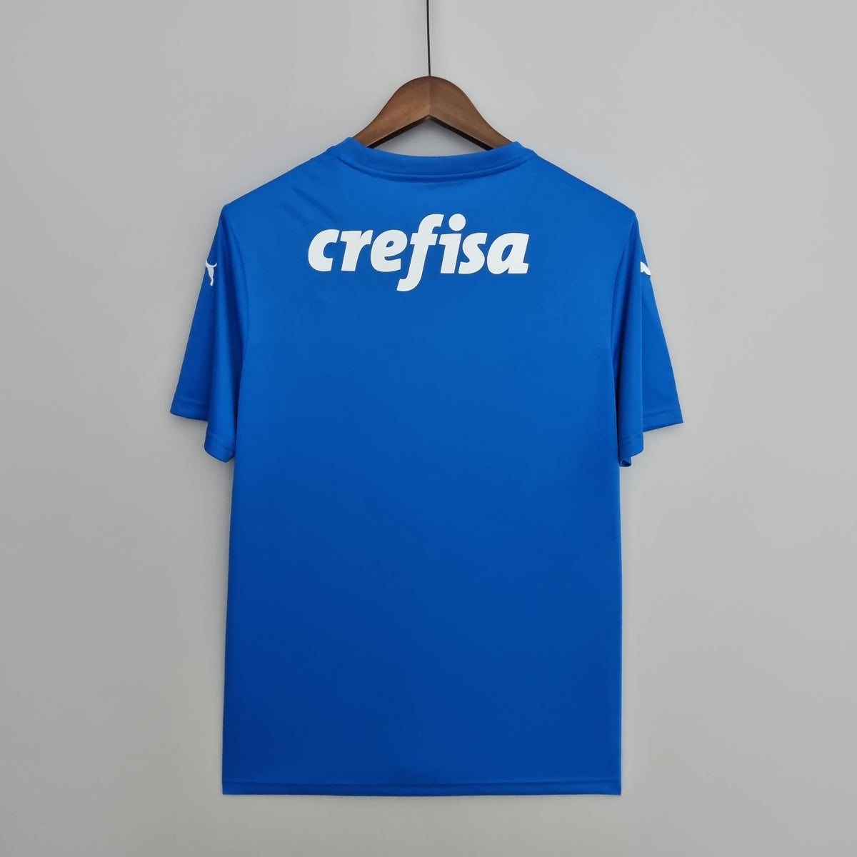 22/23 Palmeiras Goalkeeper Blue