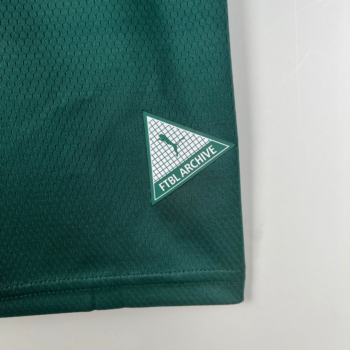 23/24 Palmeiras Green