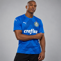 22/23 Palmeiras Goalkeeper Blue