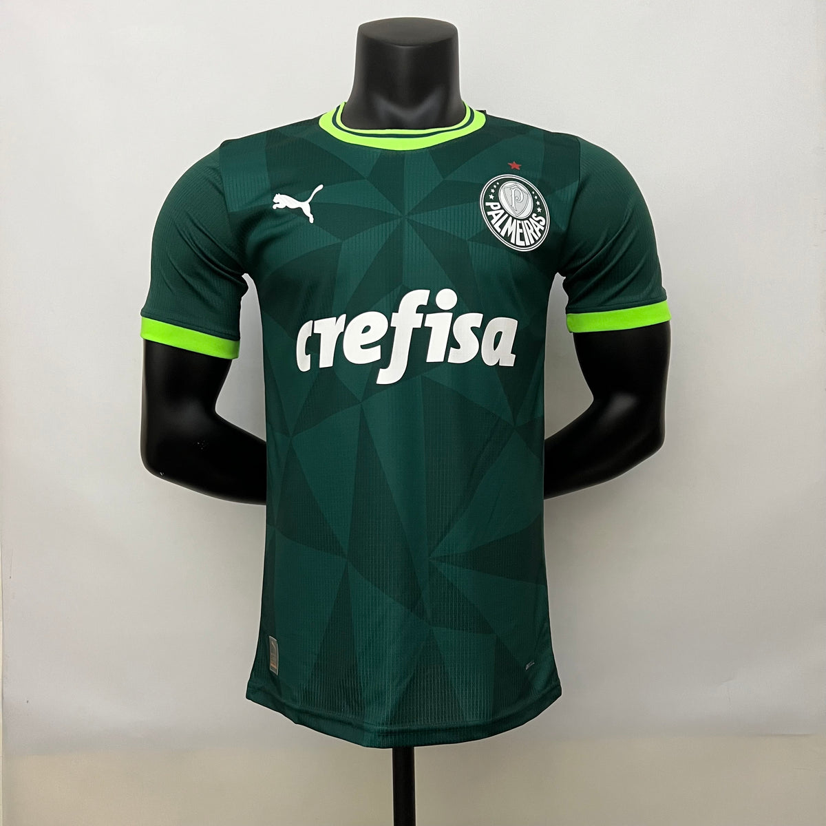 23/24 Player Version Palmeiras