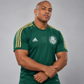 Retro Palmeiras 14/15
